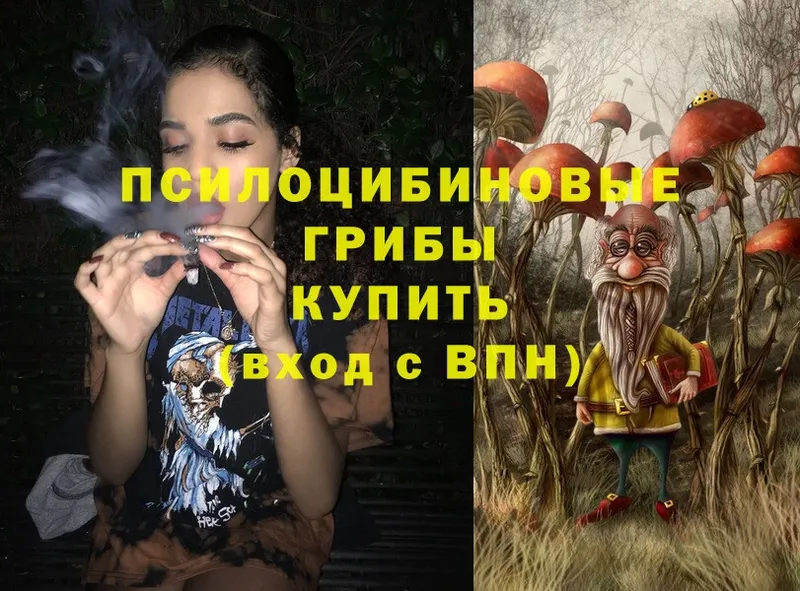 закладки  гидра рабочий сайт  Псилоцибиновые грибы Magic Shrooms  Партизанск 